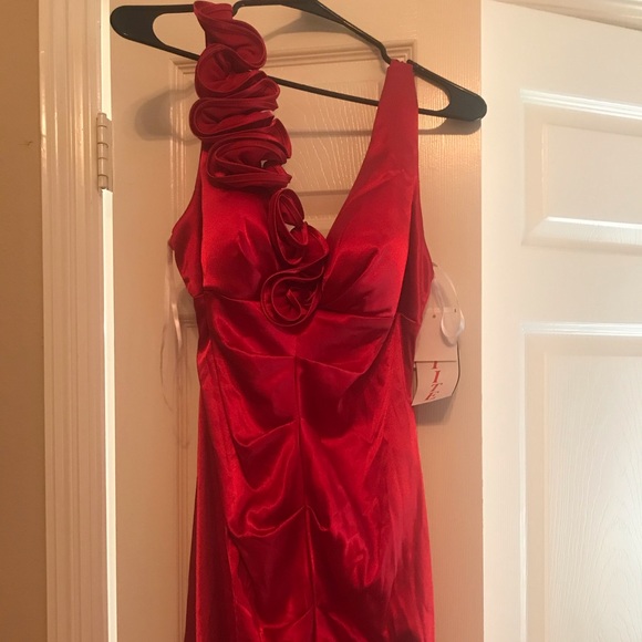 Xcape Dress - Picture 3 of 6